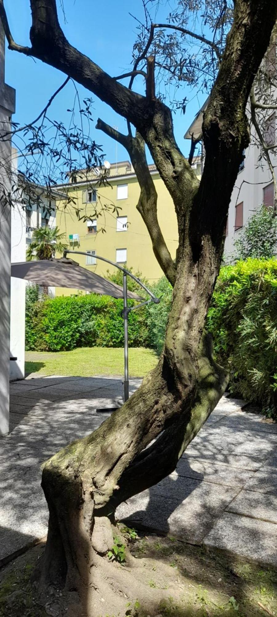 Villa Andrea Местре Екстер'єр фото